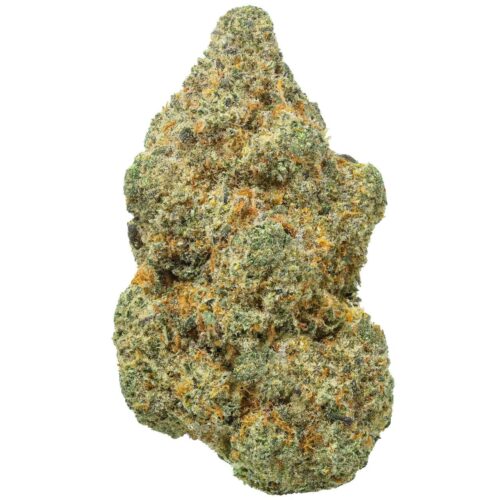 Animal face thca flower bud