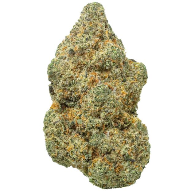 Animal face thca flower bud