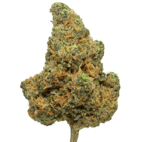 Blue Dream