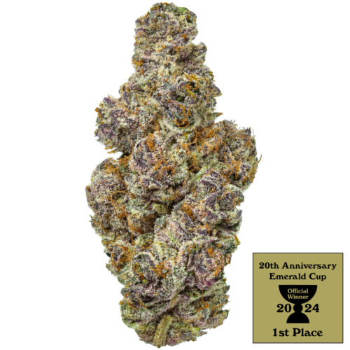 Butter Berry (PointBreak X OZK)