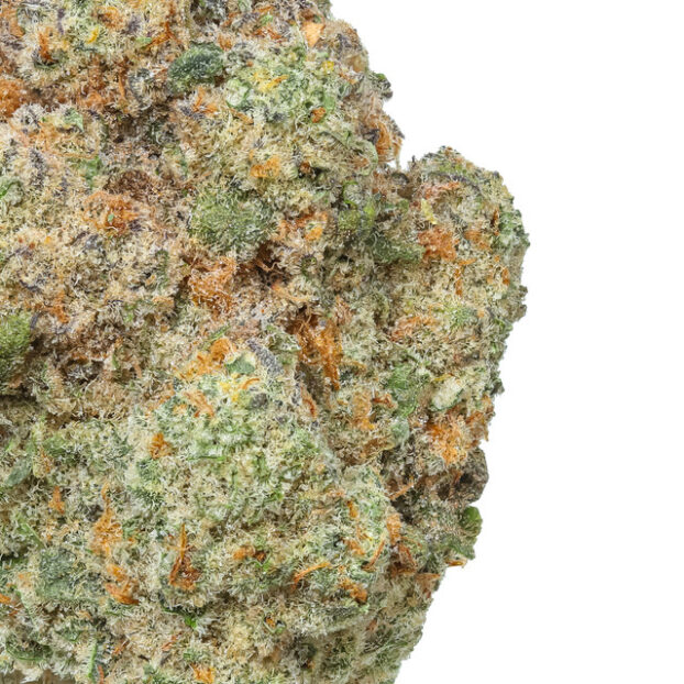CAP Junky - Image 2