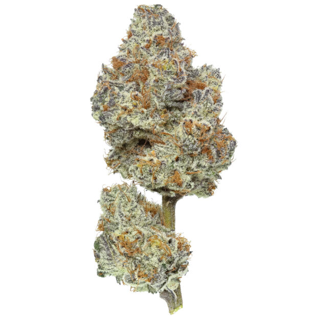Dantes Inferno thca flower bud