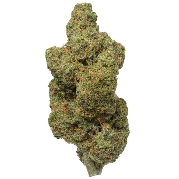 durban poison thca flower bud