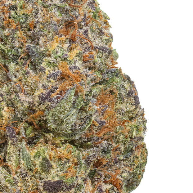 gelato cake thca flower bud close up