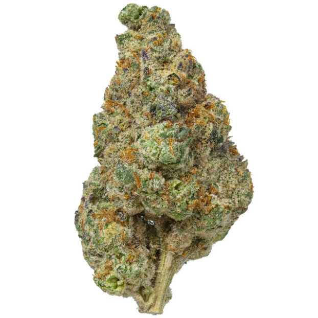 kept secret thca flower bud on white background