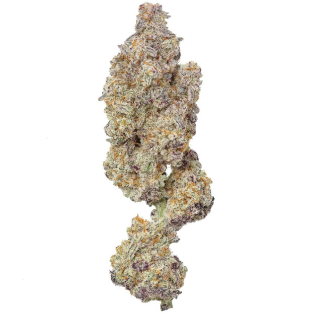 MAC 1 (Caps Cut) - Image 4