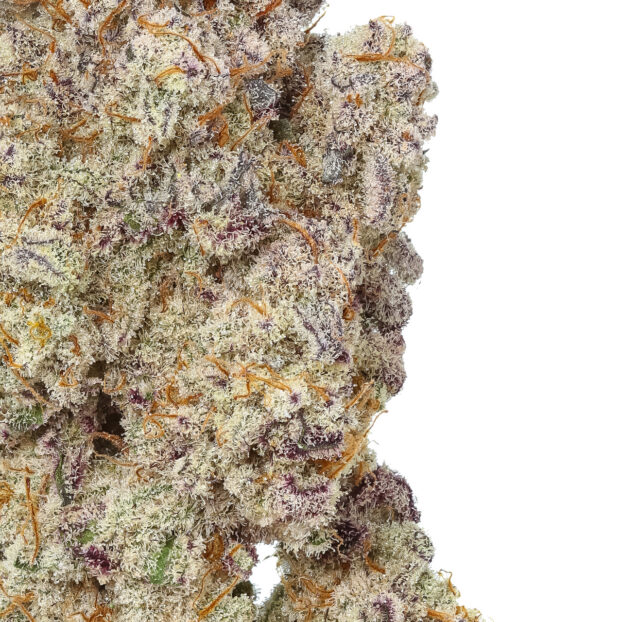 MAC 1 (Caps Cut) - Image 3