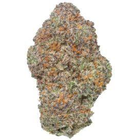 MAC daddy thca flower bud