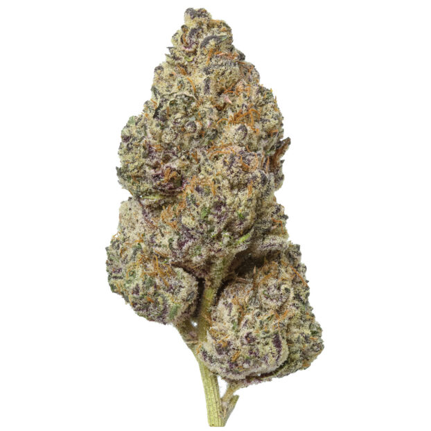 Moon blend thca flower bud