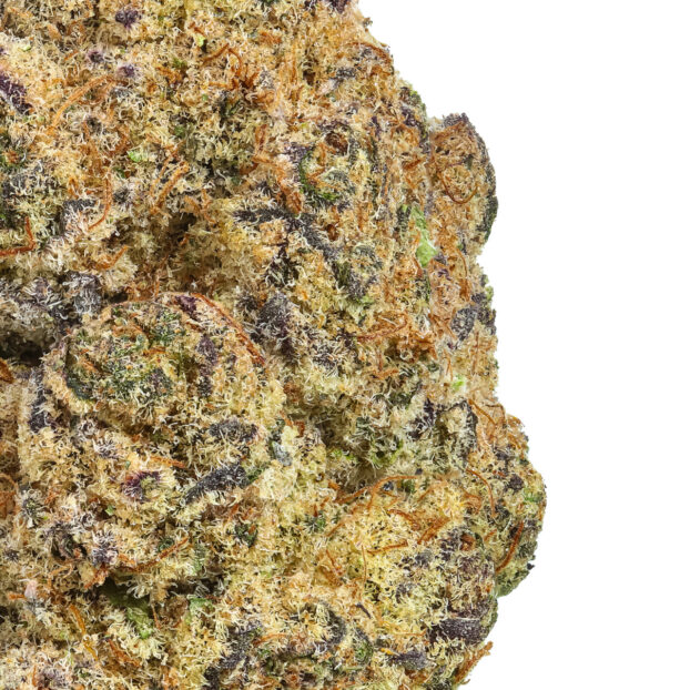 Papaya Punch - Image 2