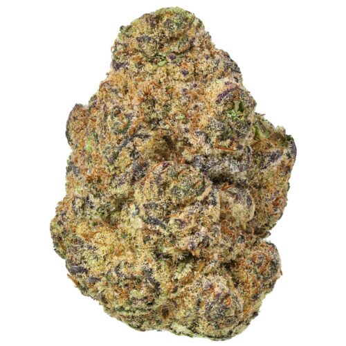 Papaya punch thca flower bud