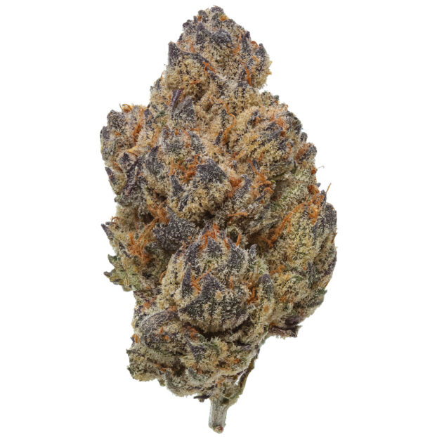 zoda x zeklair CBD bud