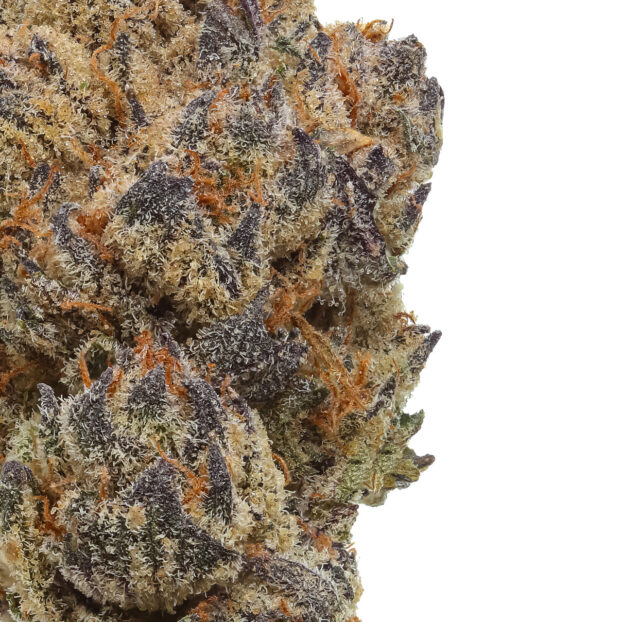 Zoda x Zeklair cbd bud close up