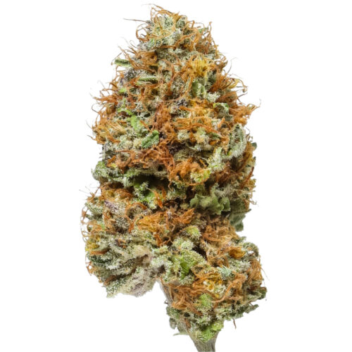 Blue Cheese #12