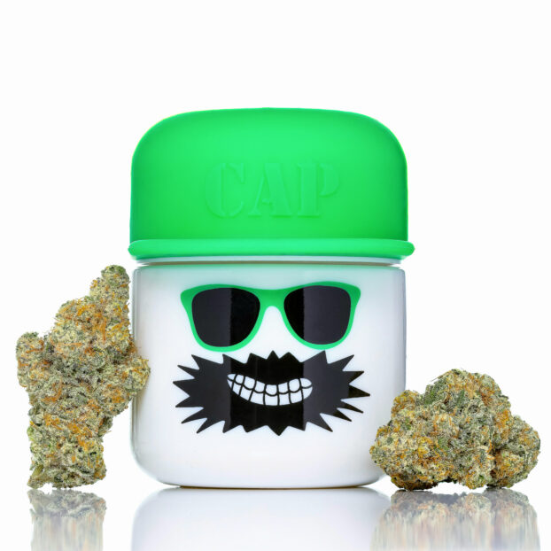 Mac 1 (Caps Cut) thca flower buds and pot