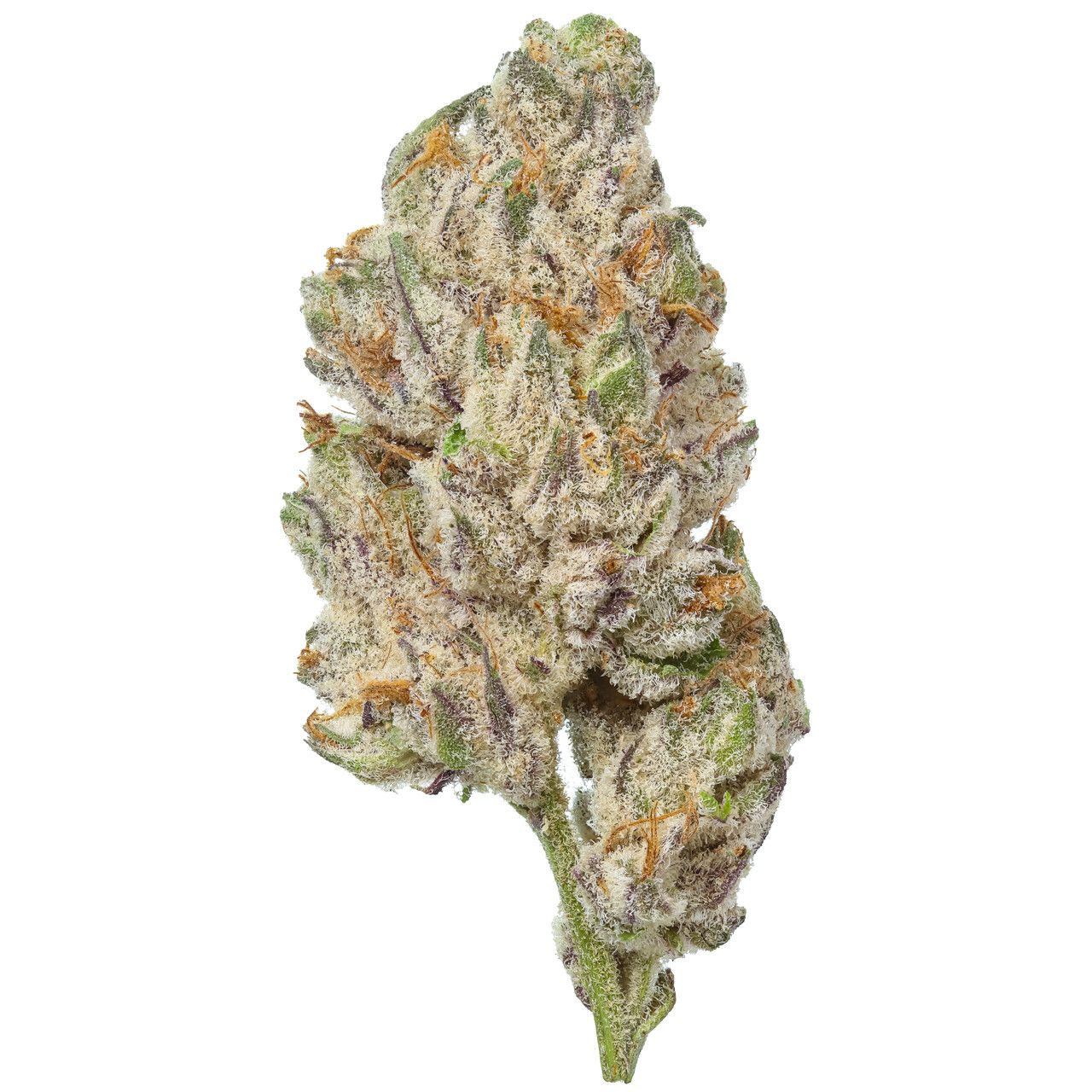 Roseanna thca flower bud