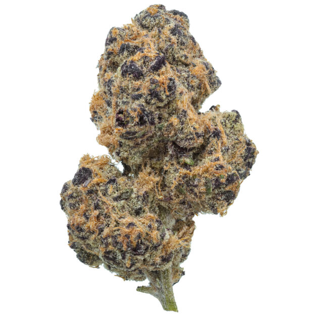 Beach Grapes USA THCA Flower
