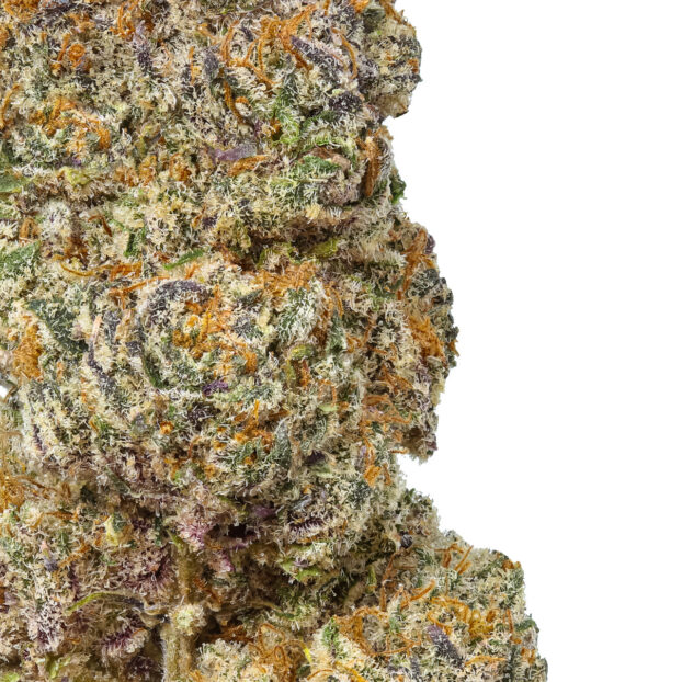 USA THCA FLOWERS