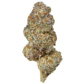 USA THCA FLOWERS