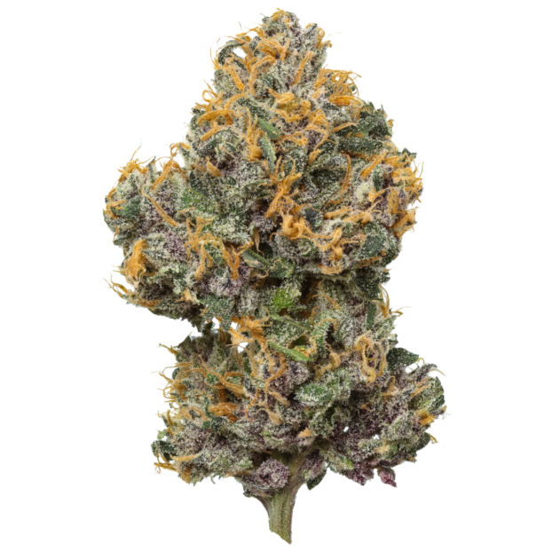 Mystic Mountain Blueberry USA THCA