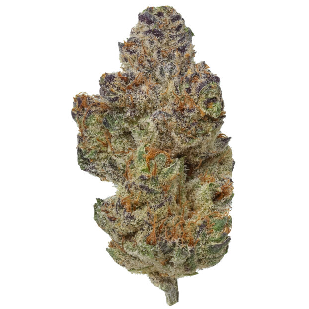 Modified Grapes USA THCA BUD