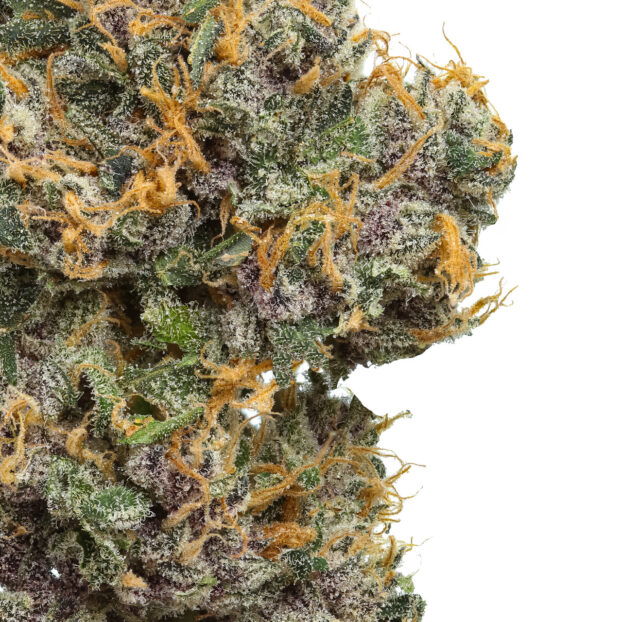 Mystic Mountain Blueberry USA THCA