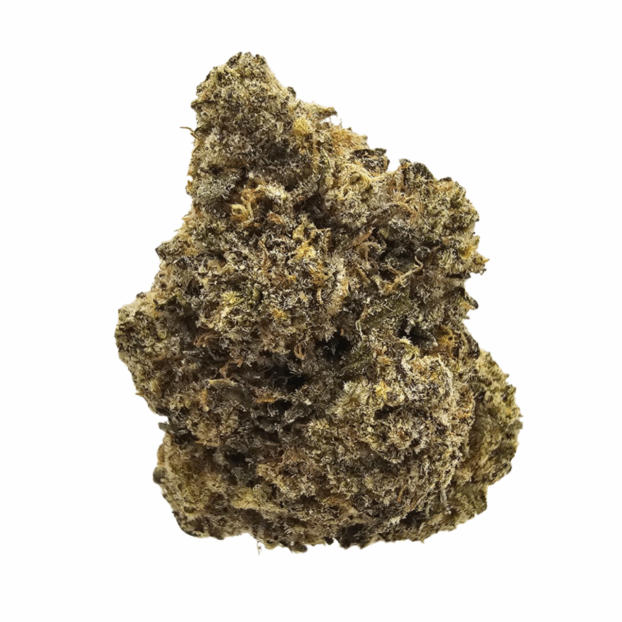 CHEETAH CAKE BUDS