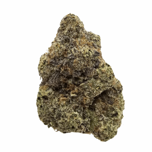 White Truffle