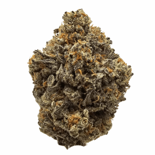 Oreoz THCA Buds USA