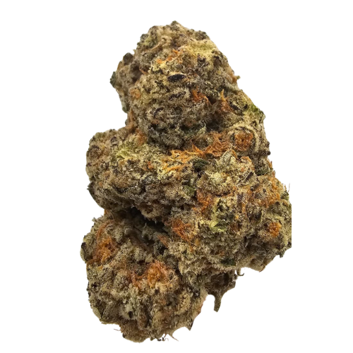 COOKIES KUSH THCA BUD