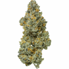 Bleu Runsz USA THCA
