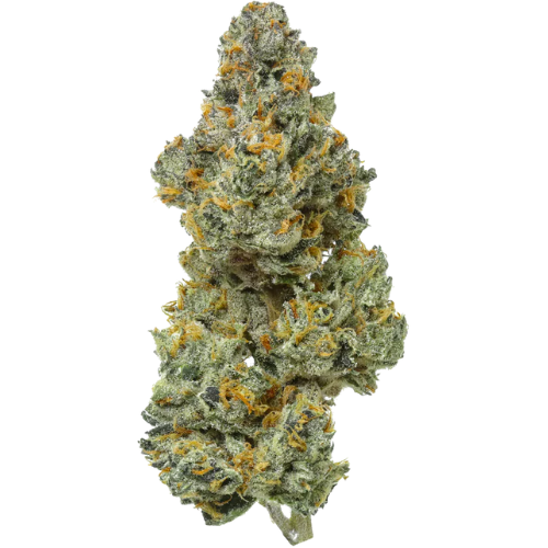 Bleu Runsz USA THCA