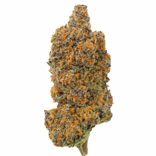 Sundae Gelato