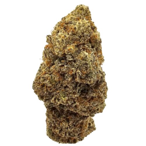Miracle Alien Cookies