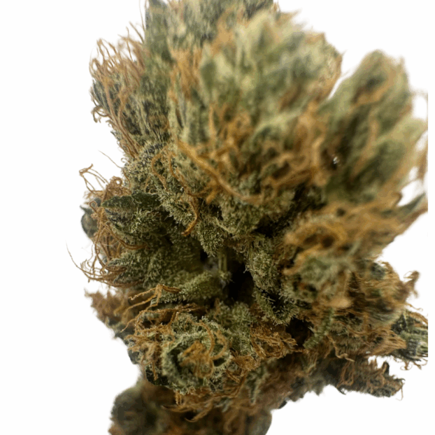 Panama Red Soda