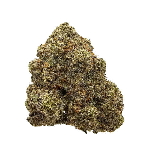 Animal Cookies THCA flower