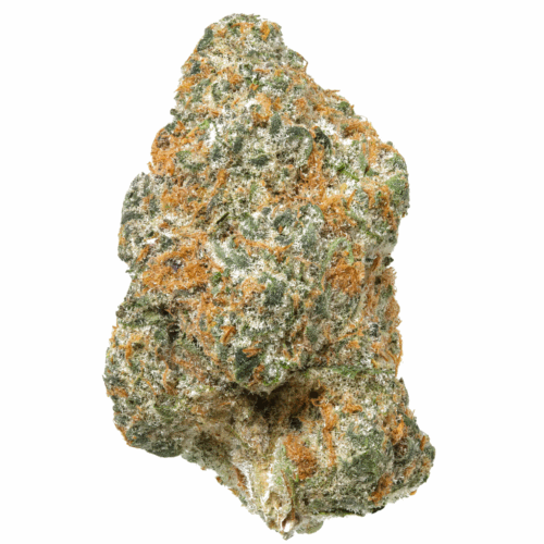 WHITE CHOCOLATE CHIP THCA USA FLOWER
