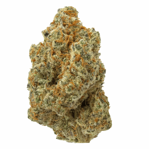 GRAPE GREMLIN THCA FLOWER USA BUD