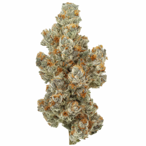 Ice Block THCA Flower