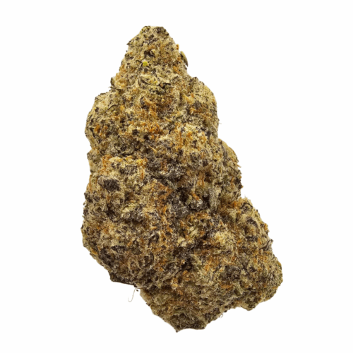 RASPBERRY TRUFFLE THCA FLOWER USA