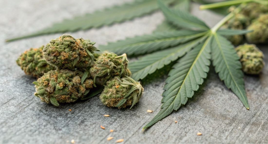 Is THCA Legal In The UK? Everything You Need to Know