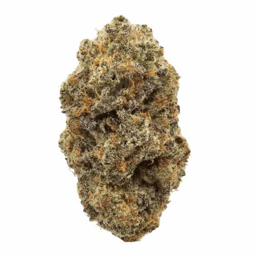 gorilla glue thca flower usa grown in uk