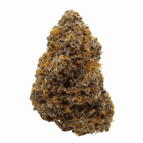 Mango Haze THCA USA Flower in UK