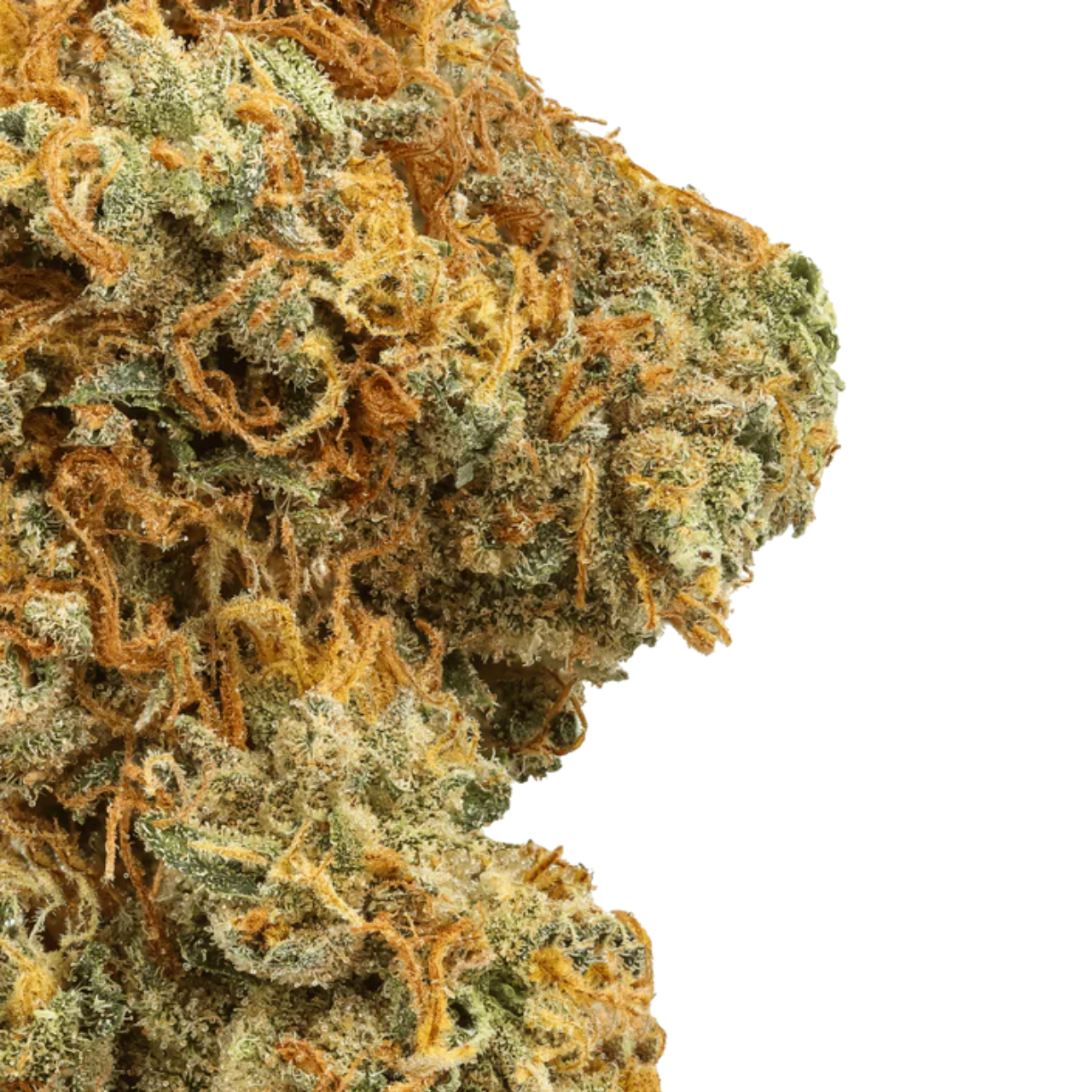 Raspberry Lemonade THCA Flower USA Imported