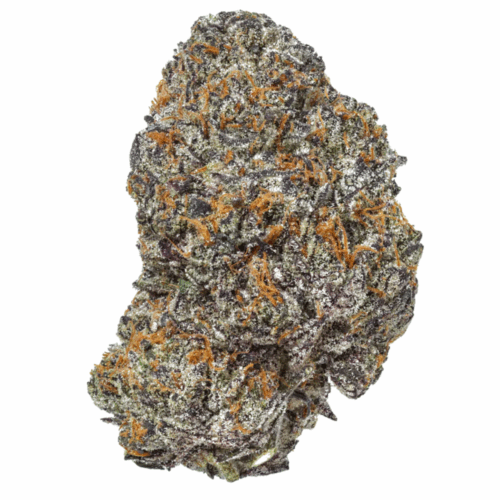 Purple Cream Cake THCA Flower