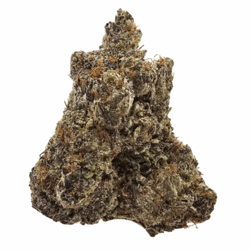 MEDELLIN THCA USA FLOWER