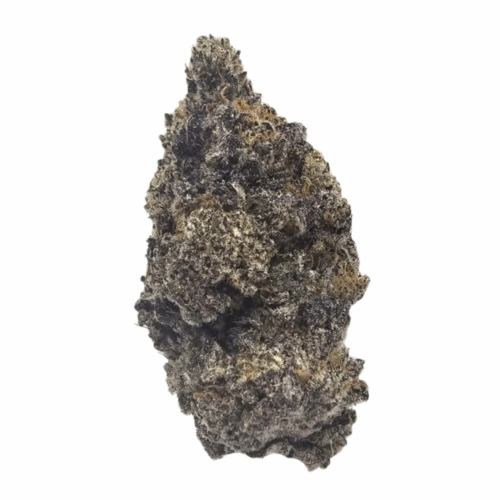 GAS BERRY THCA FLOWER USA GROWN