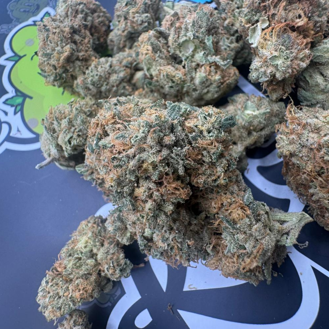 RASPBERRY FLOWERS THCA USA GROWN