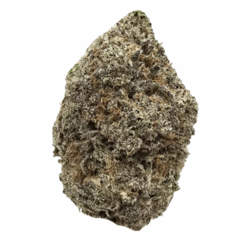 BLUE SHERBET USA GROWN FLOWERS USA