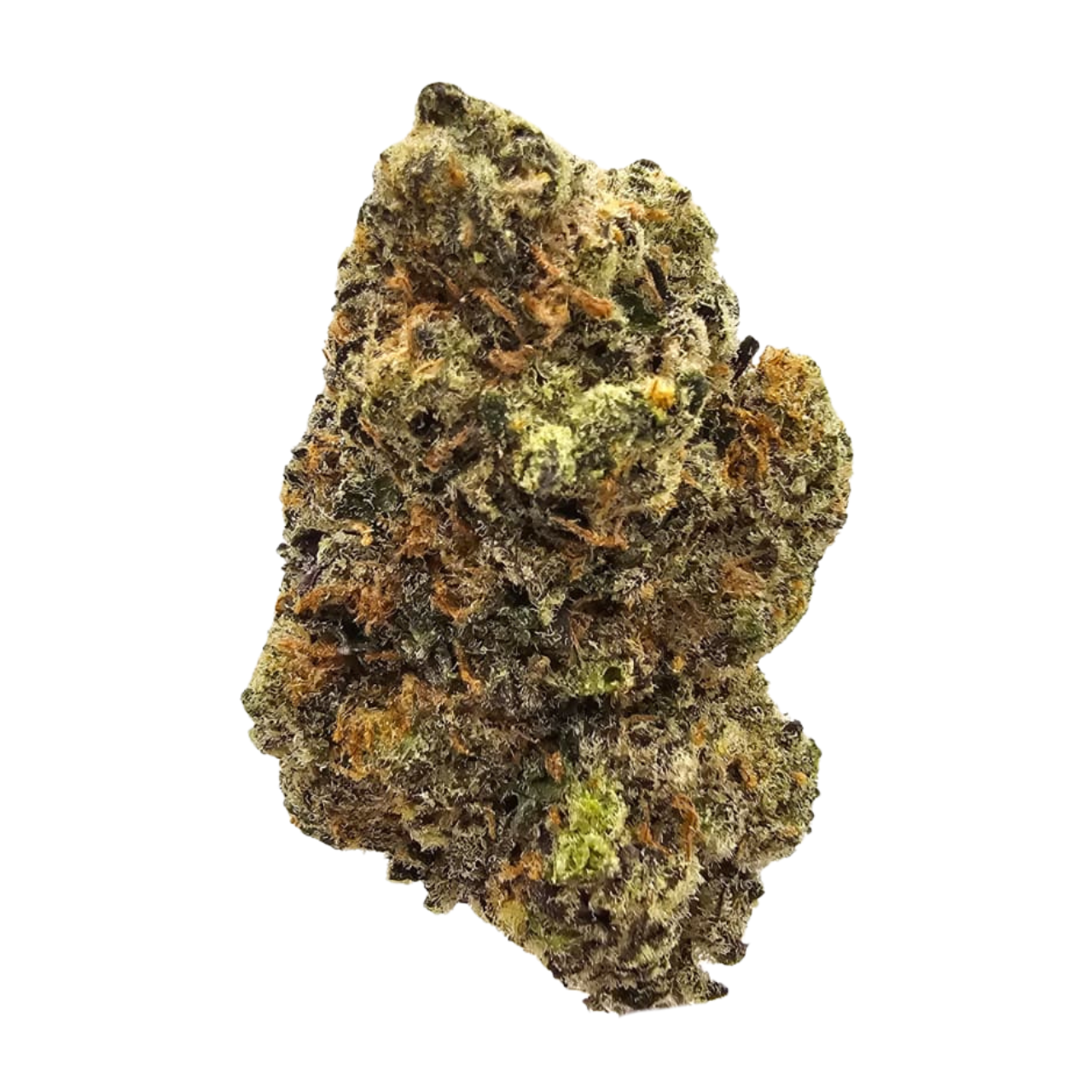 Jungle Cake - Image 2